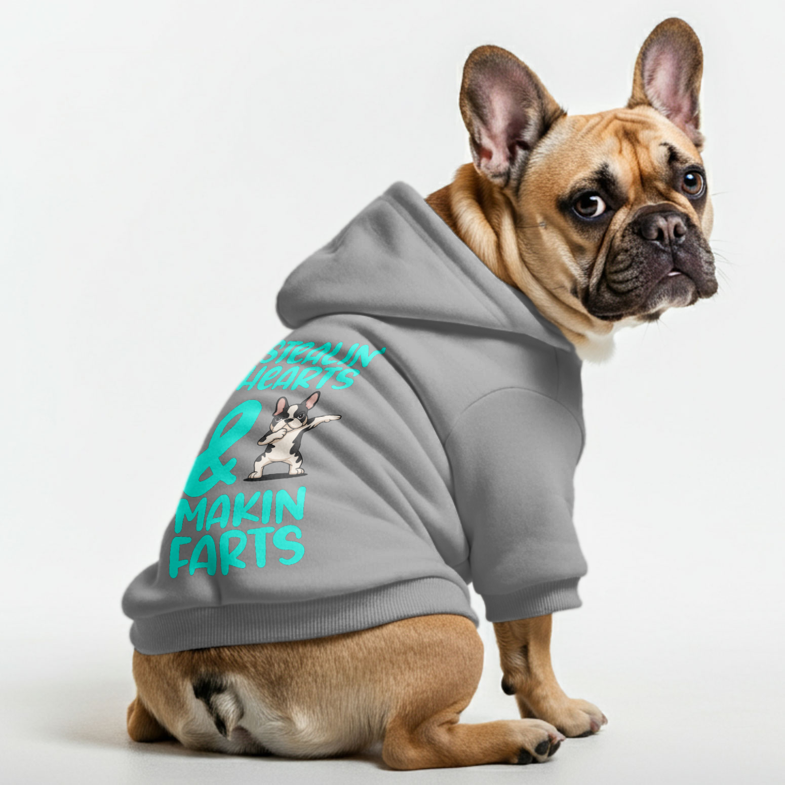 Stealin French Bulldog Cozy Hoodie for Flat-Face Breeds-fadou