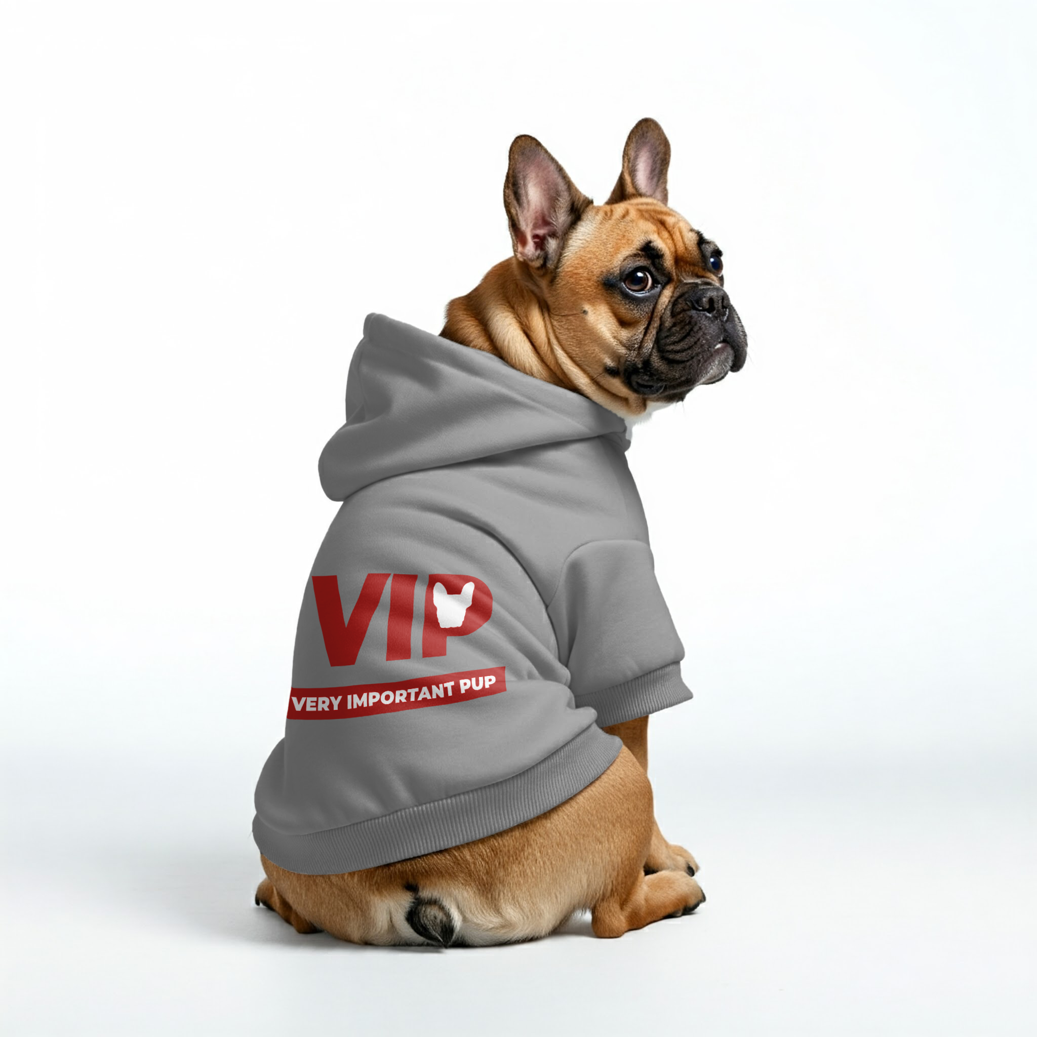 VIP French Bulldog Pet Sweatshirt for Outdoor Adventures-fadou