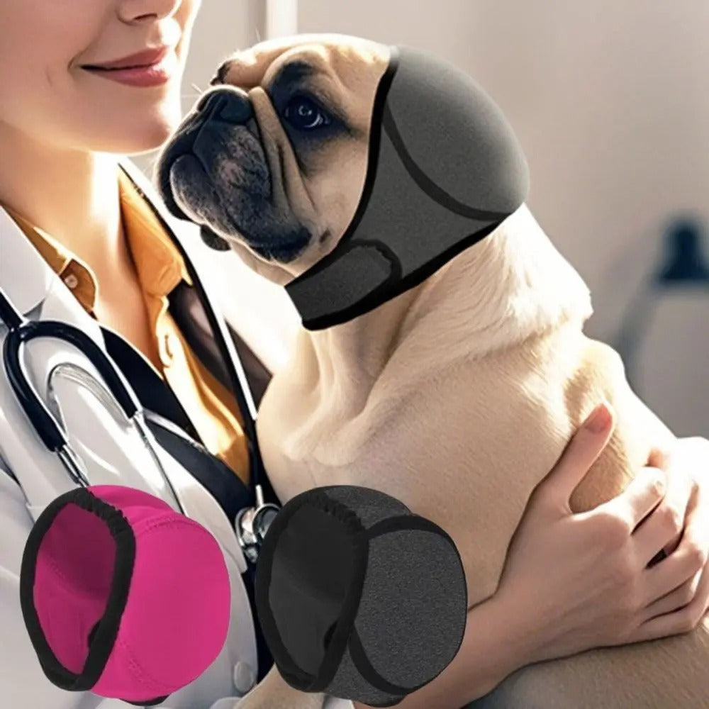 French Bulldog Waterproof Item for Frenchie Enthusiasts-fadou