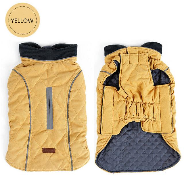 Cooper Jacket - Frenchie Waterproof Jacket for Frenchie Fans-fadou