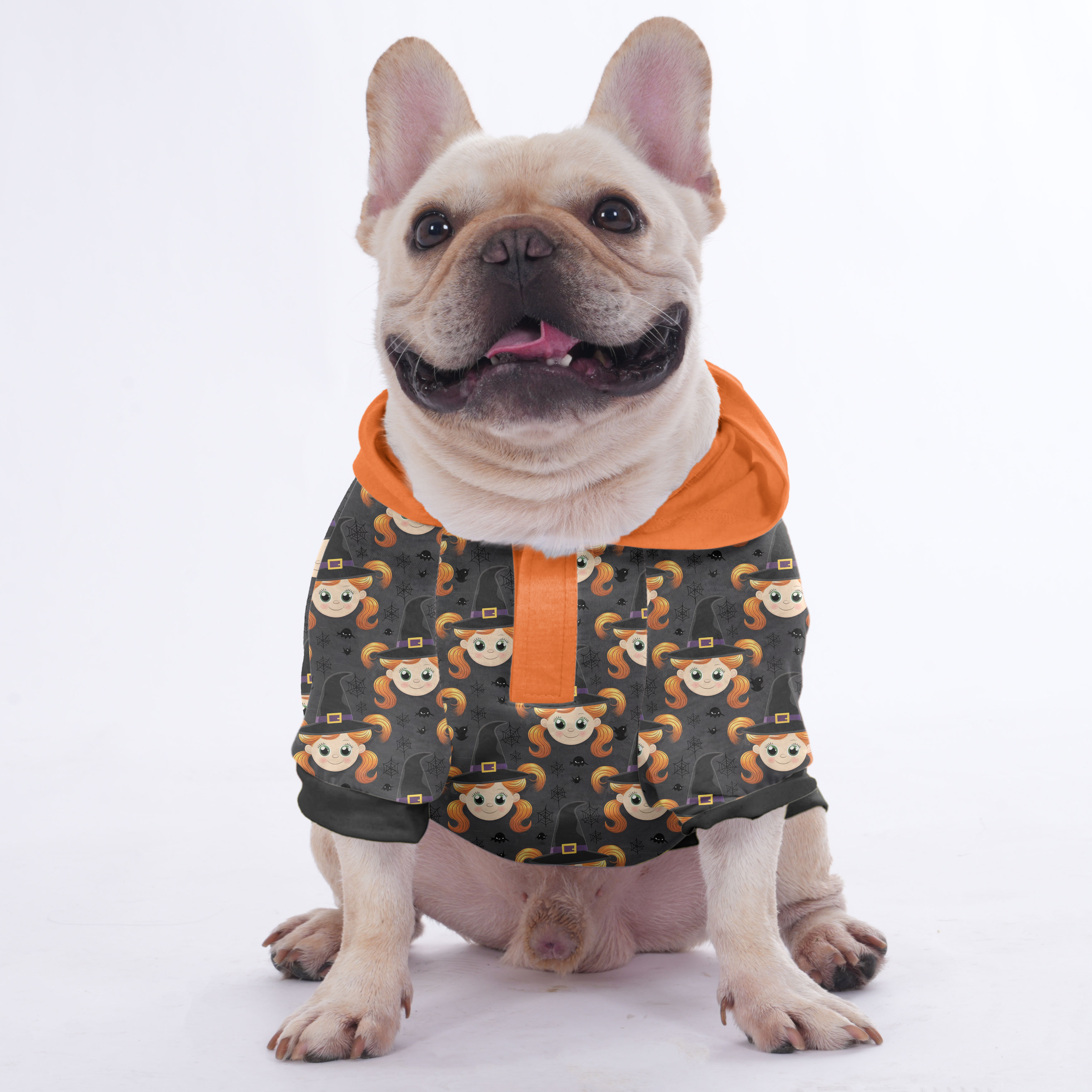 Frenchie Halloween Pet Sweatshirt for Training Sessions-fadou