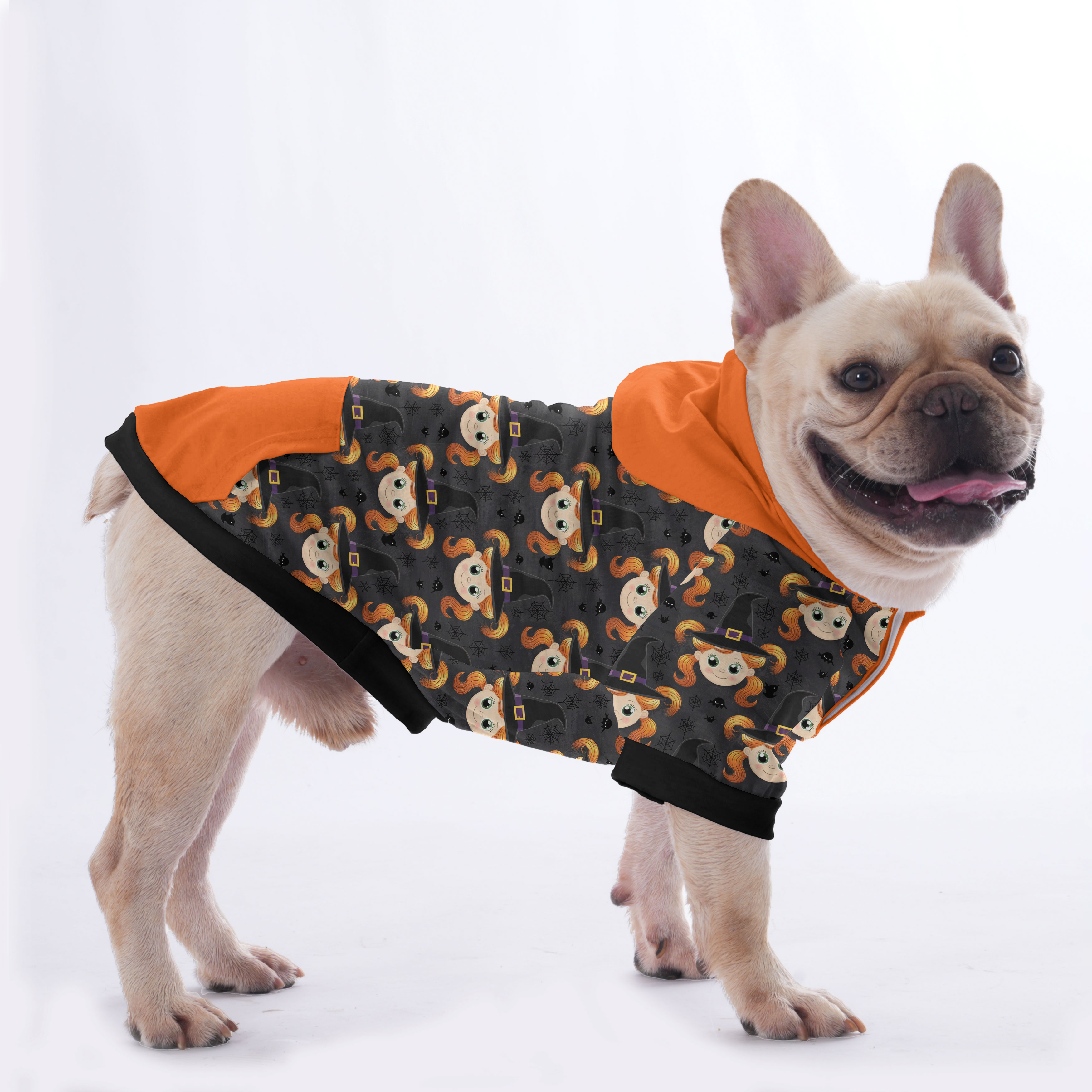 Frenchie Halloween Pet Sweatshirt for Training Sessions-fadou