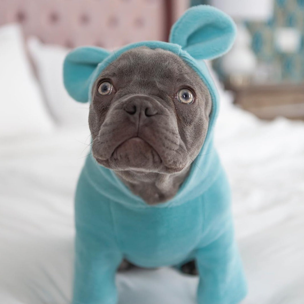 Not French Bulldog Pet Parent Pullover for Dog Park Days-fadou
