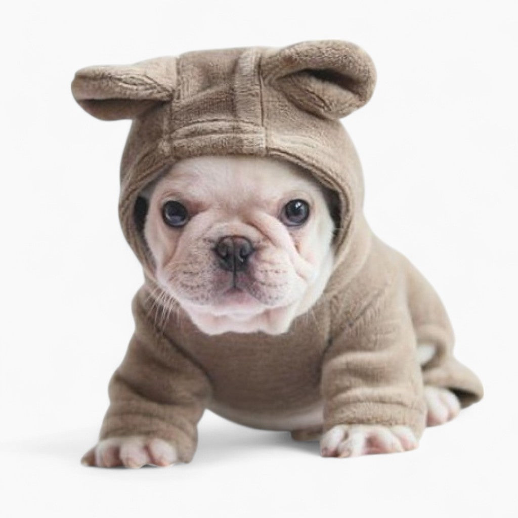 Not French Bulldog Pet Parent Pullover for Dog Park Days-fadou