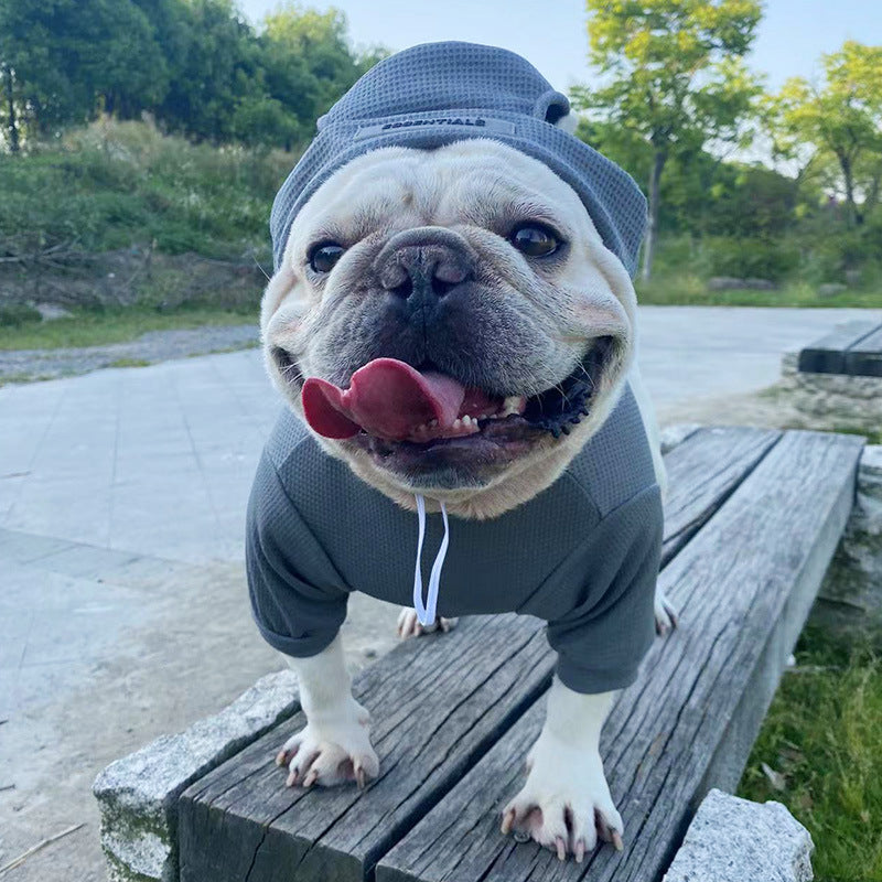 French Bulldog Waffle Sweater with Hat – Stretchy for French Bulldogs-fadou