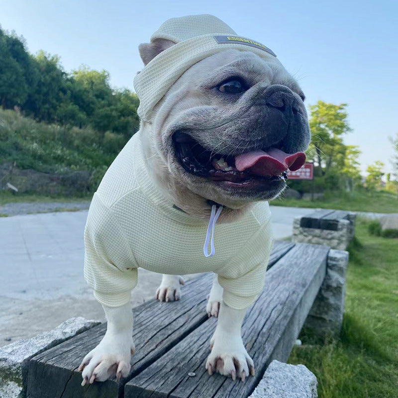 French Bulldog Waffle Sweater with Hat – Stretchy for French Bulldogs-fadou