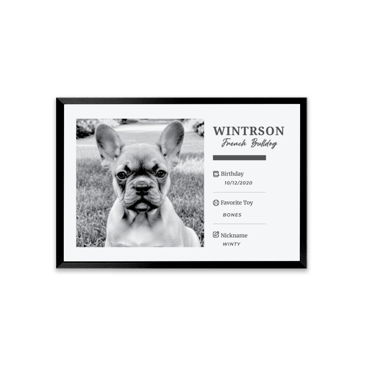 Tinman Personalized Framed Poster for Frenchie Enthusiasts-fadou