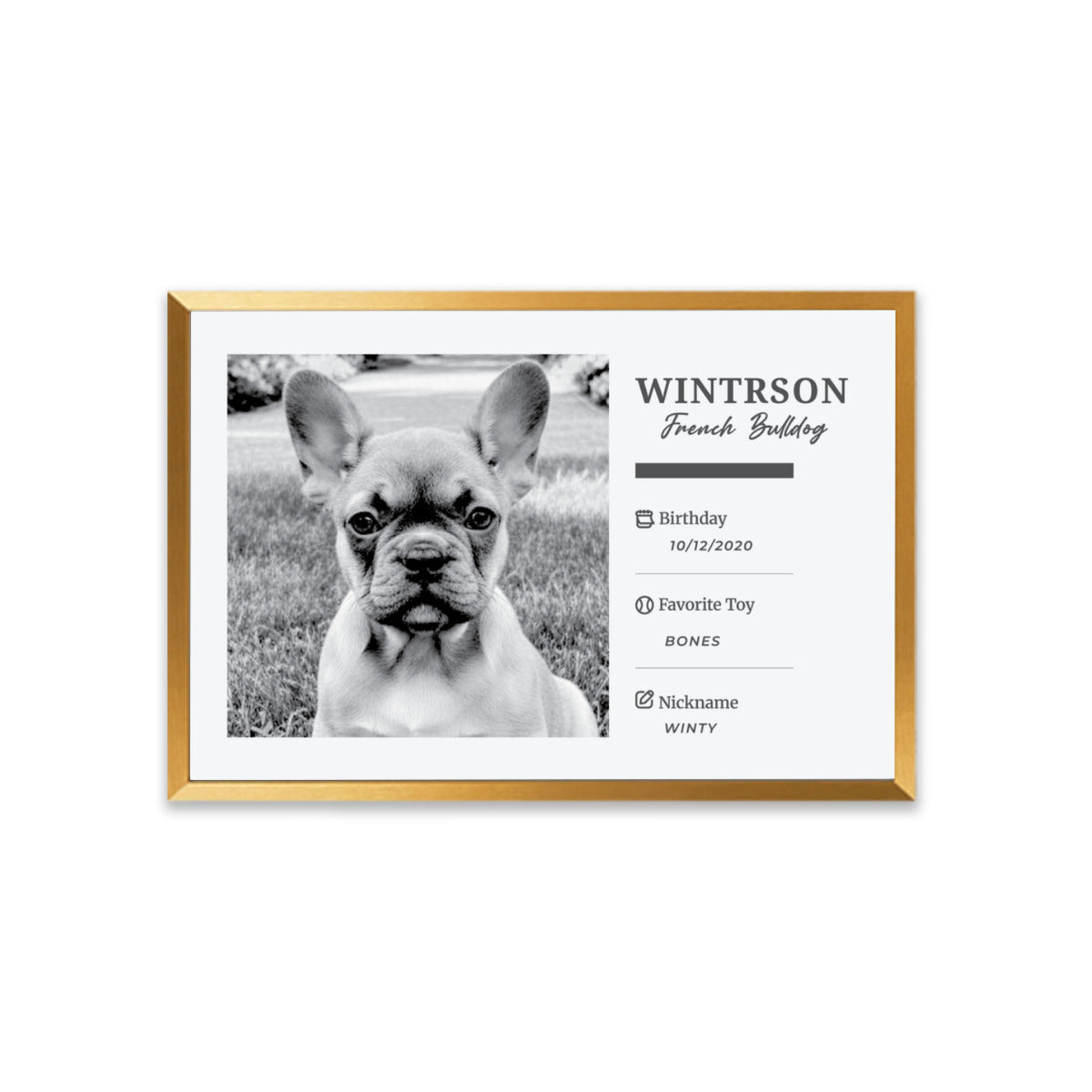 Tinman Personalized Framed Poster for Frenchie Enthusiasts-fadou