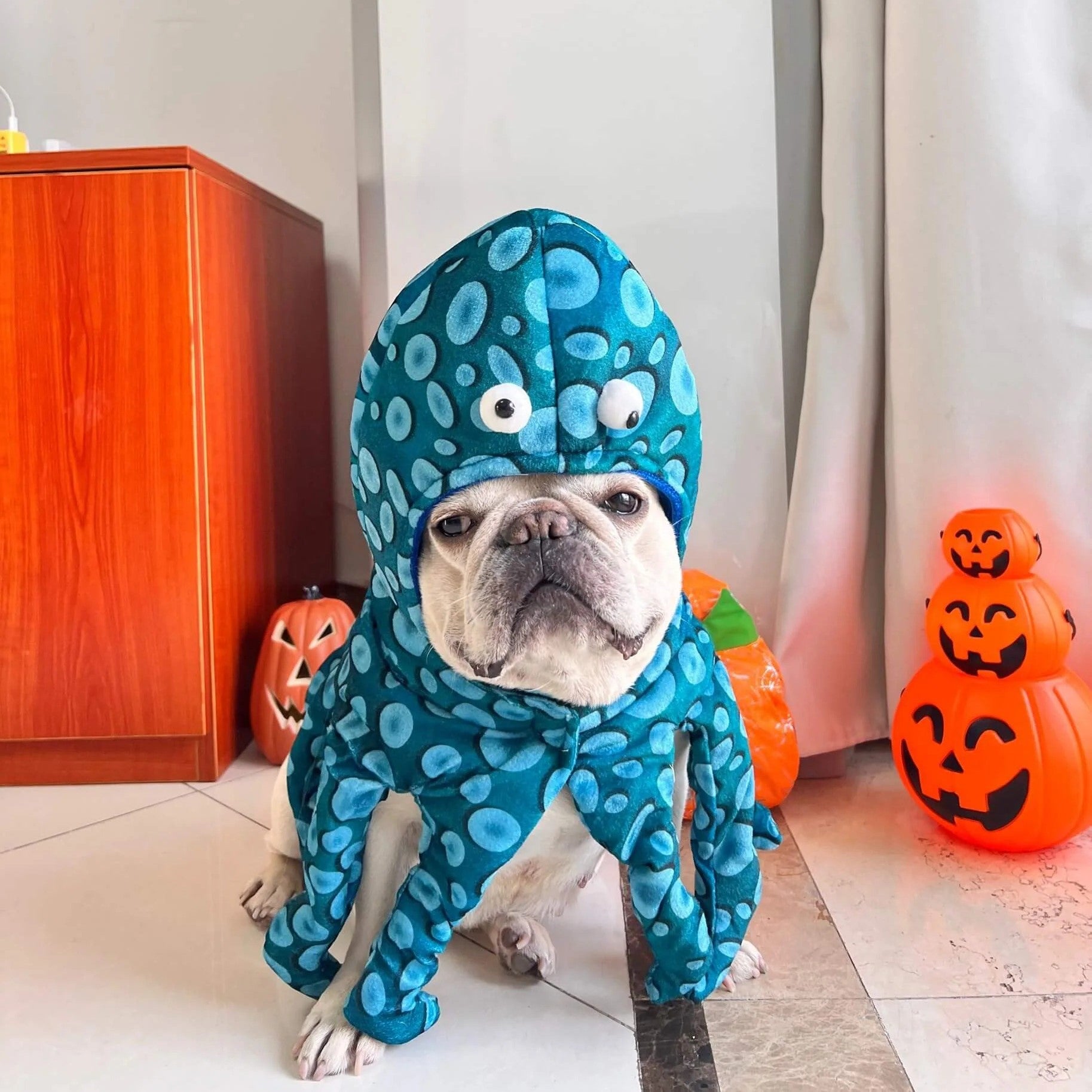 French Bulldog Adjustable Dog Costume for Flat-Face Breeds-fadou