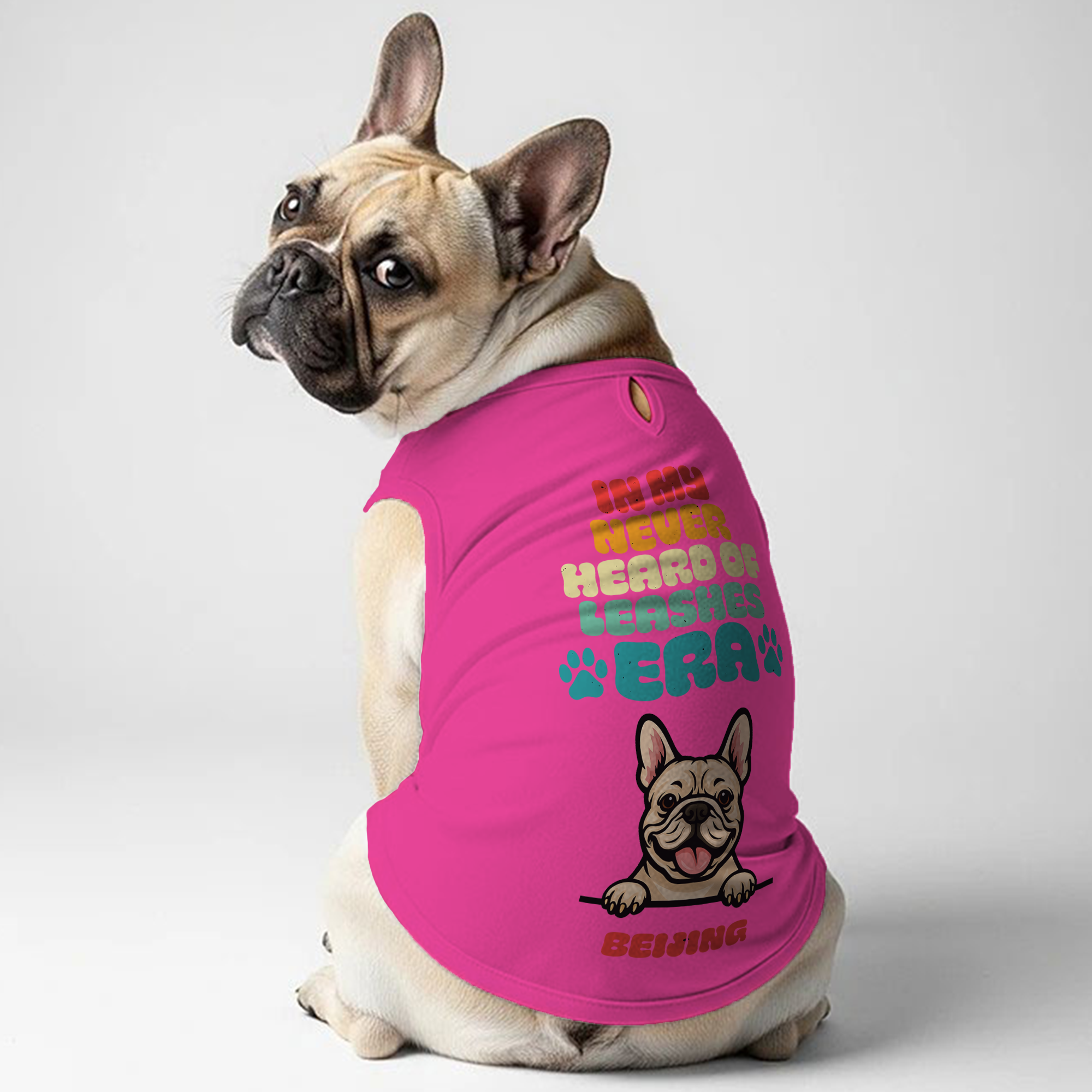 French Bulldog Personalized Walking Leash for Outdoor Adventures-fadou