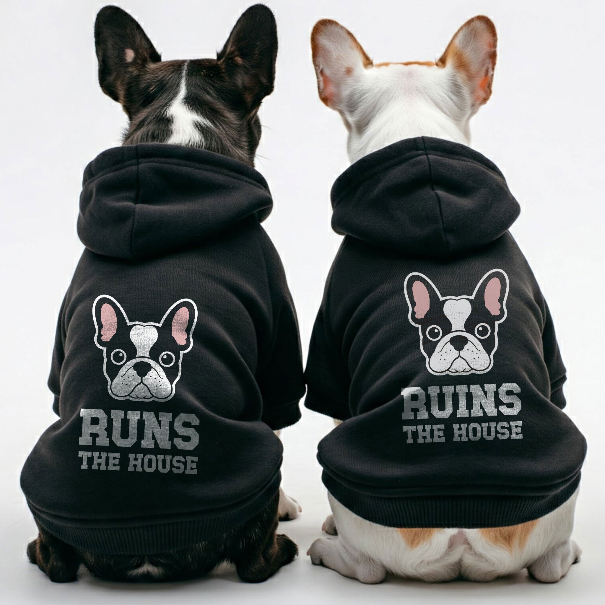 Runs French Bulldog Pet Sweatshirt for Training Sessions-fadou