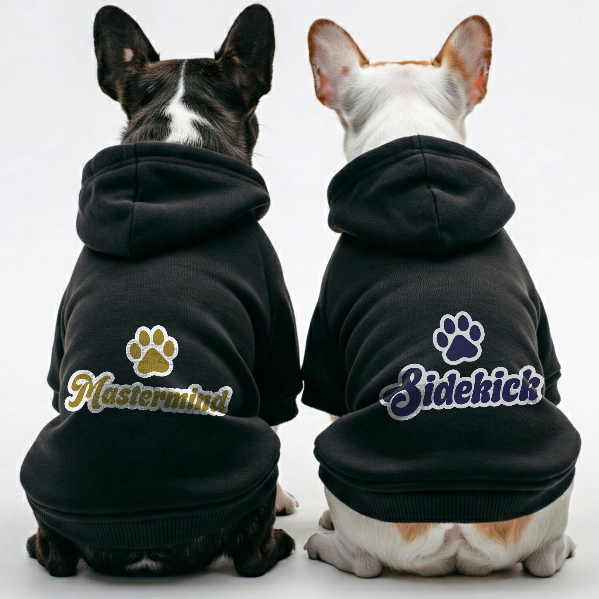 Mastermind French Bulldog Pet Sweatshirt for Small Breeds-fadou