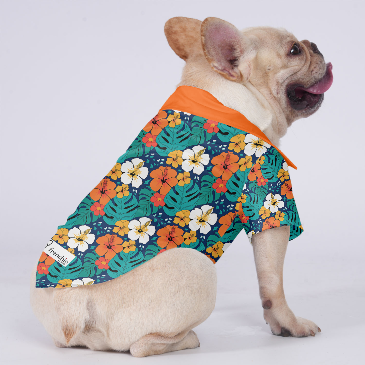 Gracie French Bulldog Cotton Tee for Outdoor Adventures-fadou