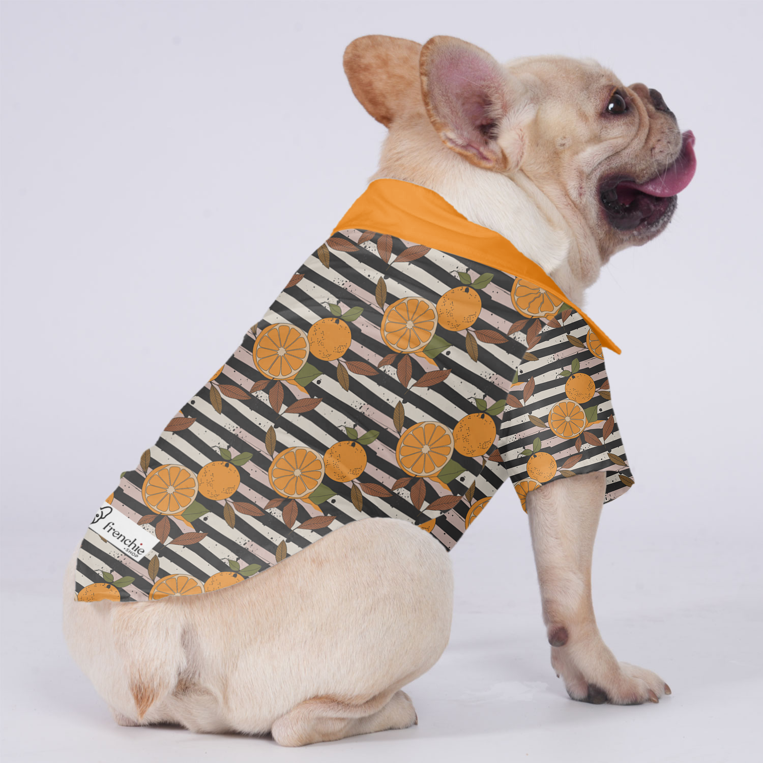 Bruno - Hawaiian Shirt for Outdoor Adventures for French Bulldogs-fadou
