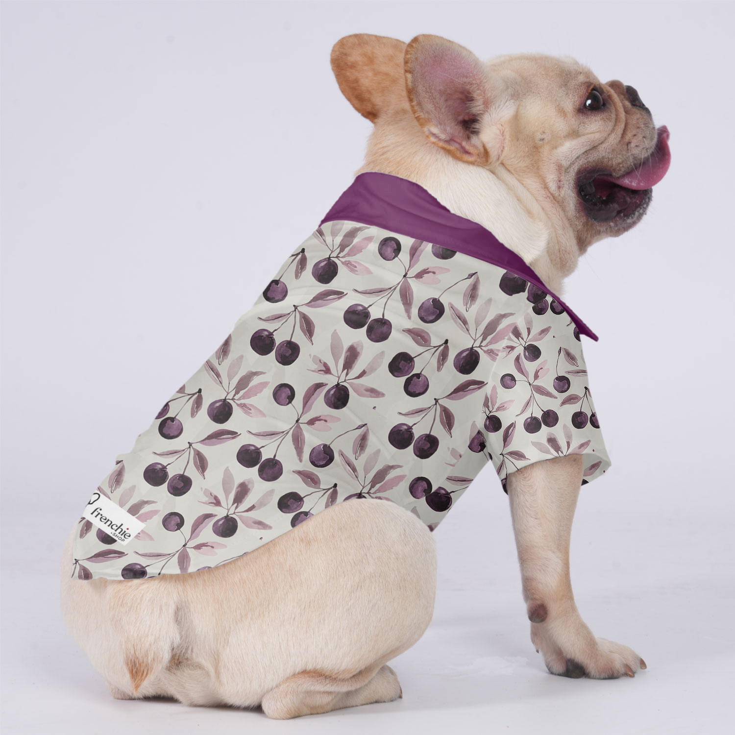 Louie - Hawaiian Shirt for Travel Comfort for French Bulldogs-fadou