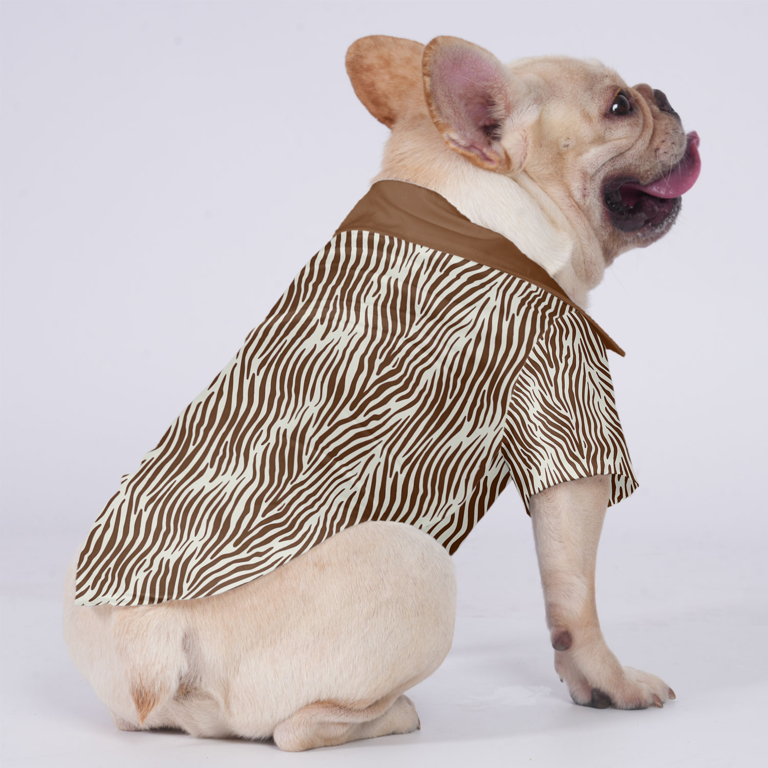 Nova - Hawaiian Shirt for Training Sessions for French Bulldogs-fadou