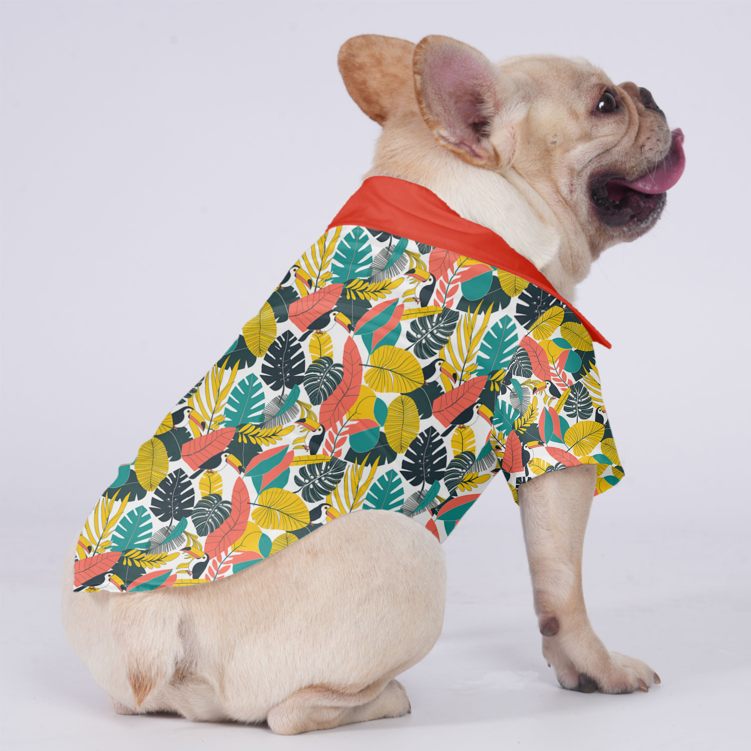 Koda - Hawaiian Shirt for Flat-Face Breeds for French Bulldogs-fadou