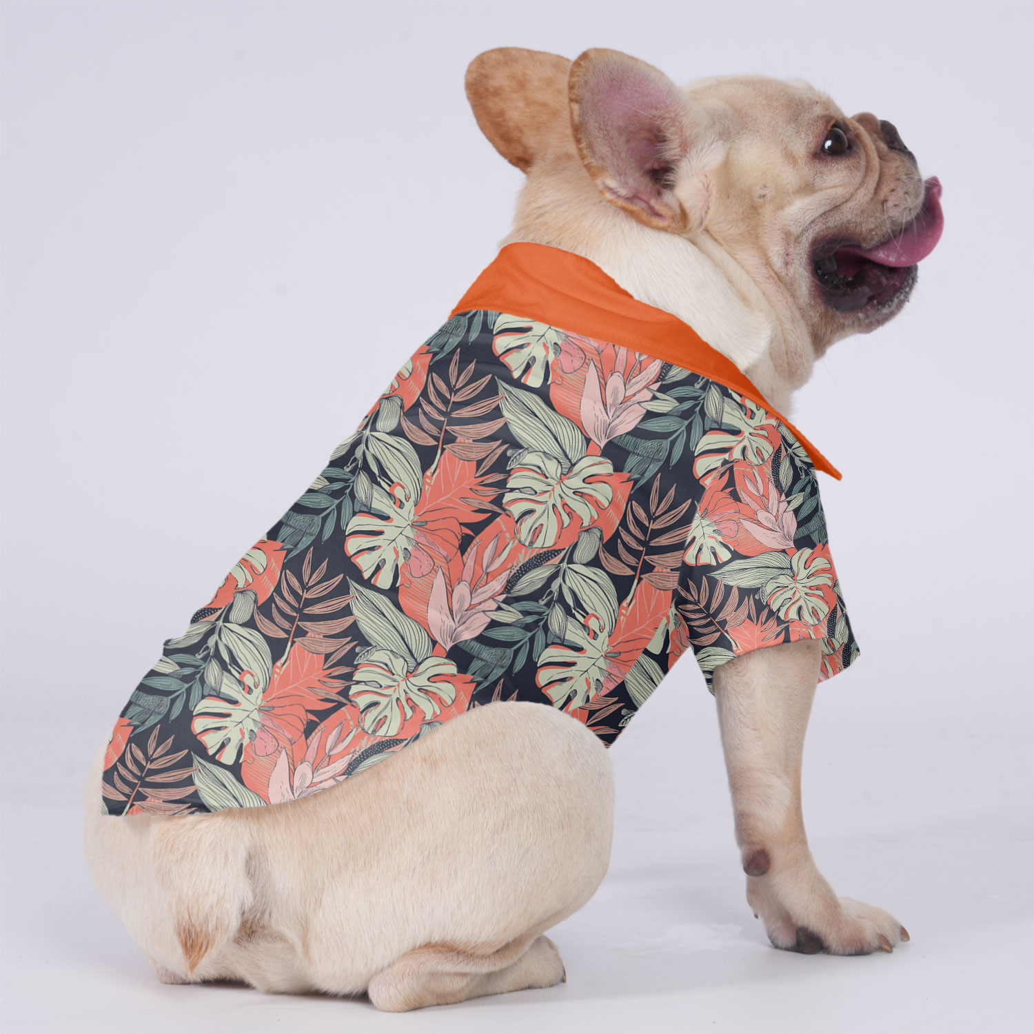 Apollo French Bulldog Dog Outfit for Brachycephalic Dogs-fadou