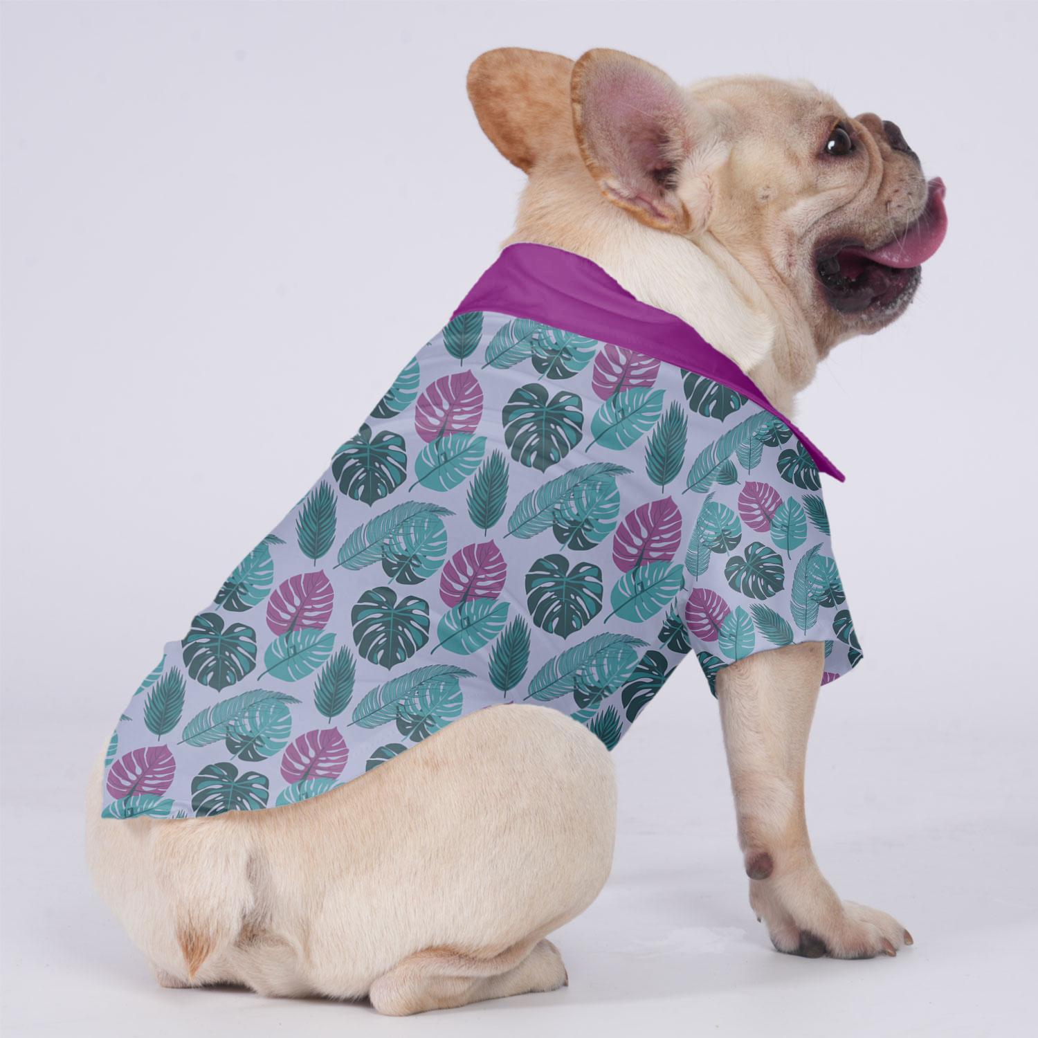 Beau - Hawaiian Shirt for Brachycephalic Dogs for French Bulldogs-fadou