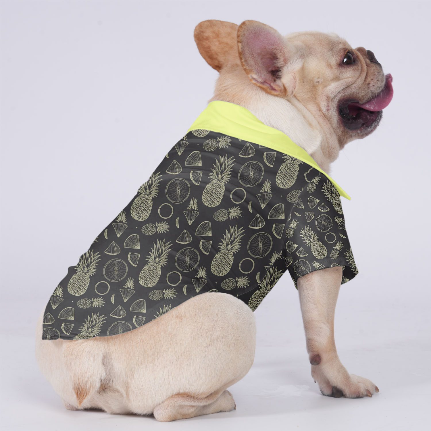 Moose French Bulldog Cotton Tee for Brachycephalic Dogs-fadou
