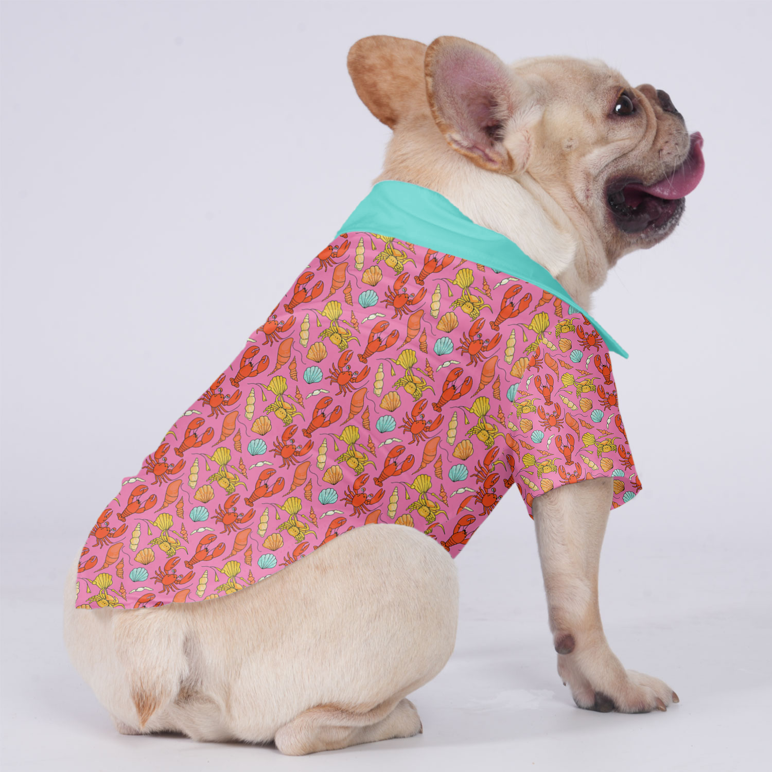 Frankie French Bulldog Dog Shirt for Brachycephalic Dogs-fadou
