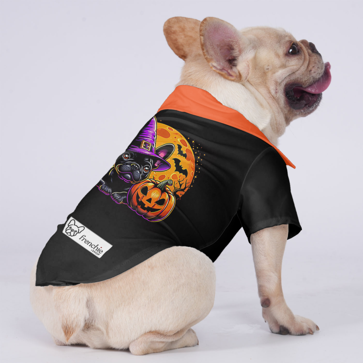 Charlie French Bulldog Dog Shirt for Outdoor Adventures-fadou
