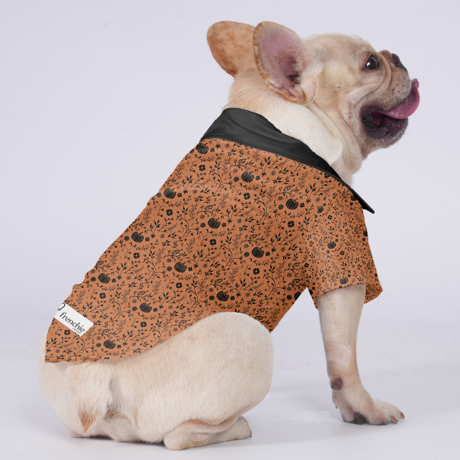 Rocky - Hawaiian Shirt for Training Sessions for French Bulldogs-fadou