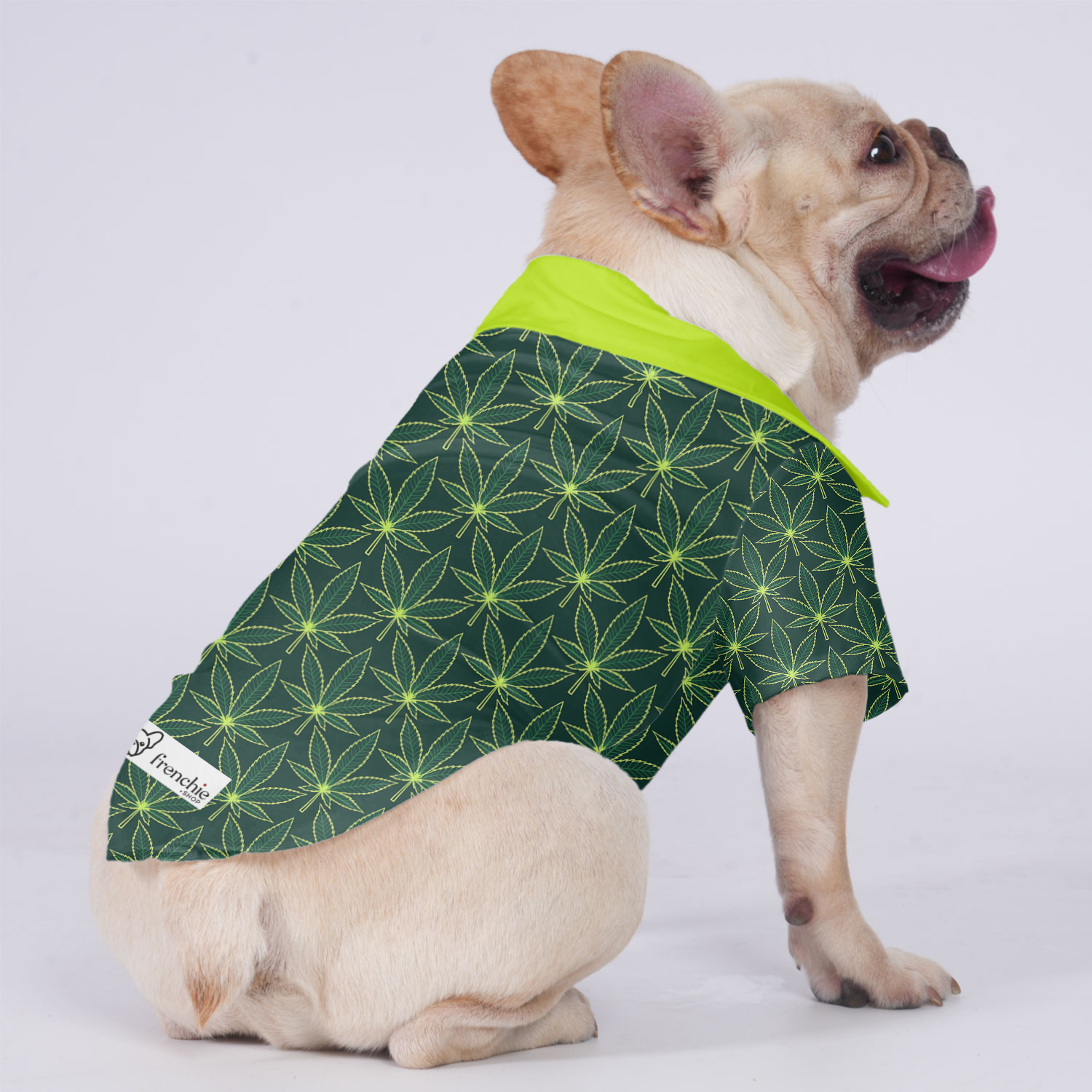 Willow French Bulldog Cotton Tee for Outdoor Adventures-fadou