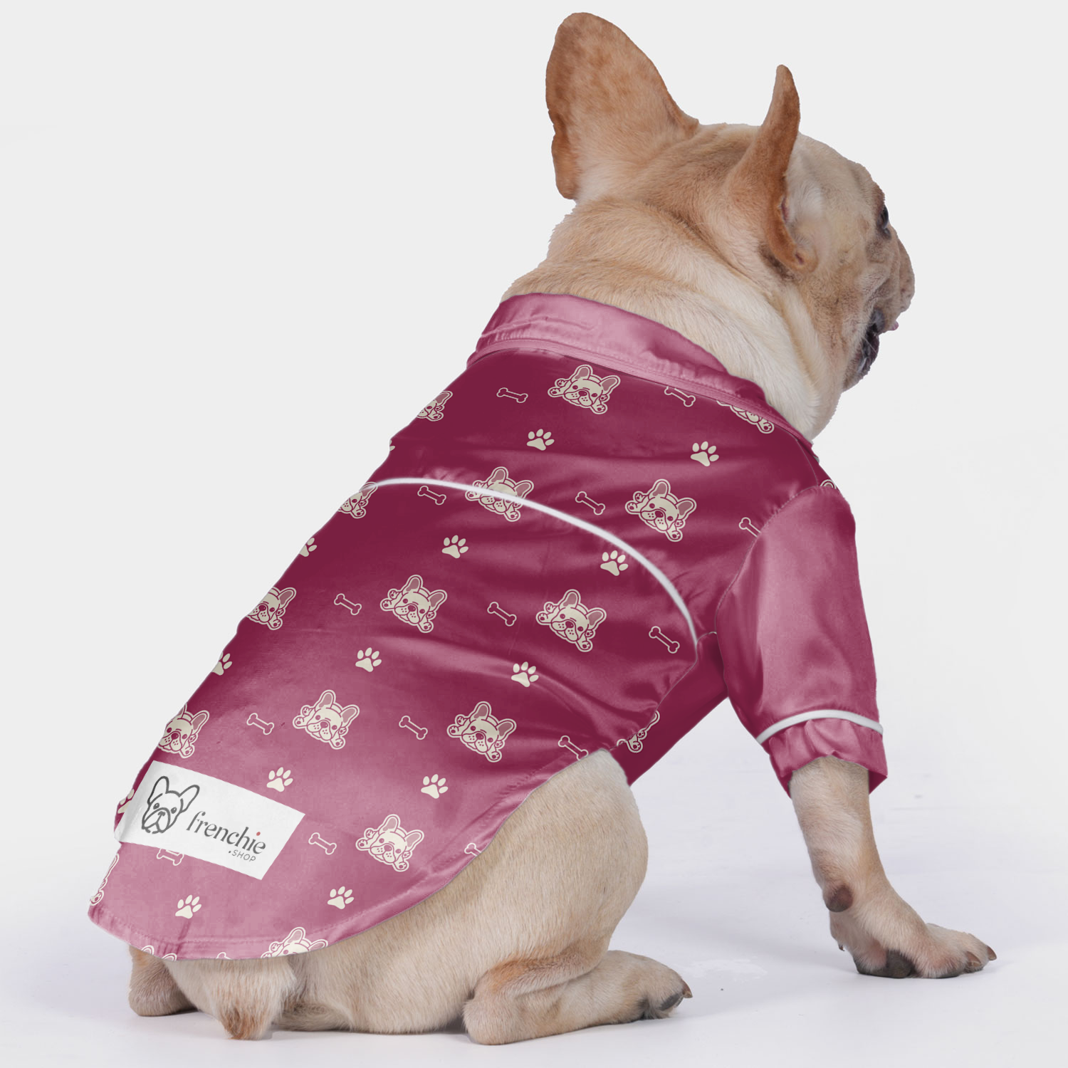 Monty French Bulldog Night Outfit for Training Sessions-fadou