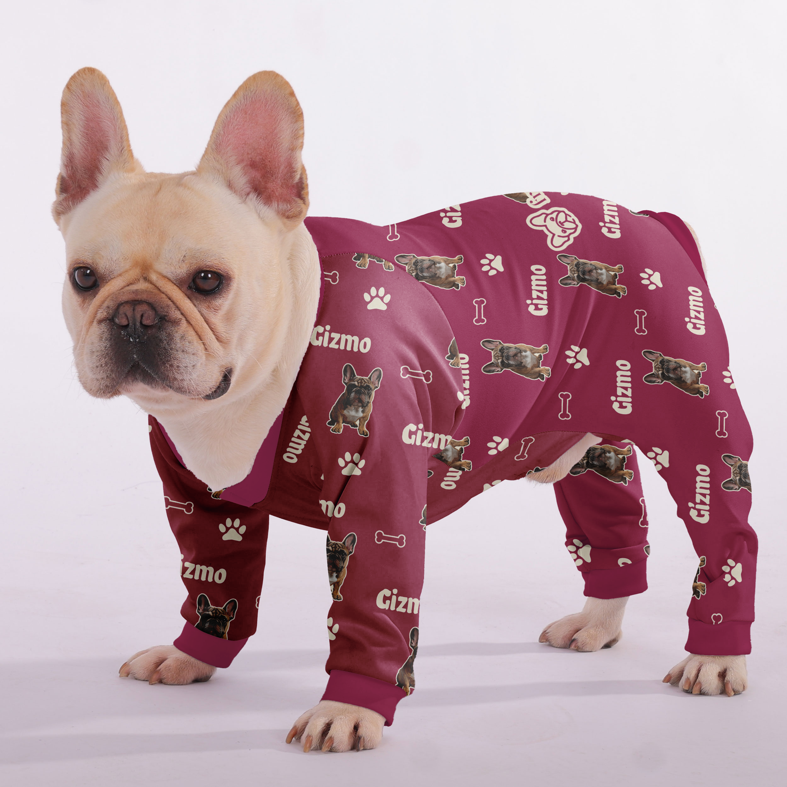 French Bulldog Personalized Night Outfit for Daily Walks-fadou