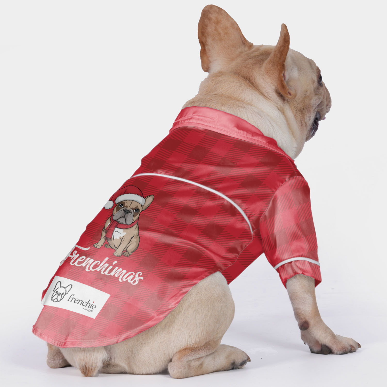 Frenchimas Frenchie Night Outfit for Outdoor Adventures-fadou
