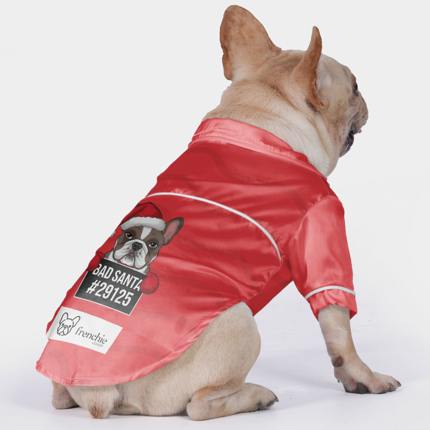 Bad French Bulldog Cozy Loungewear for Training Sessions-fadou