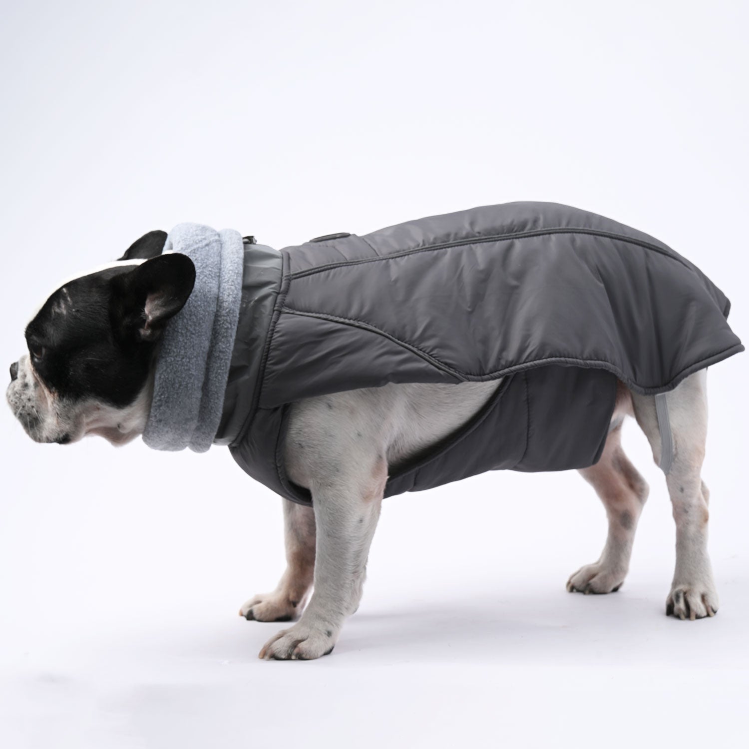 French Bulldog Winter Pet Jacket for Outdoor Adventures-fadou