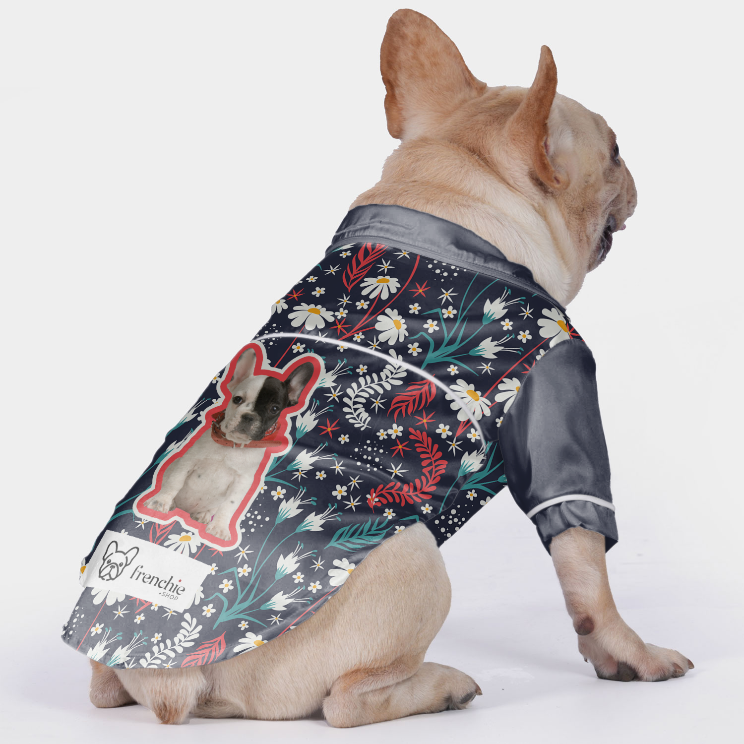 French Bulldog Custom Night Outfit for Short-Nosed Dogs-fadou