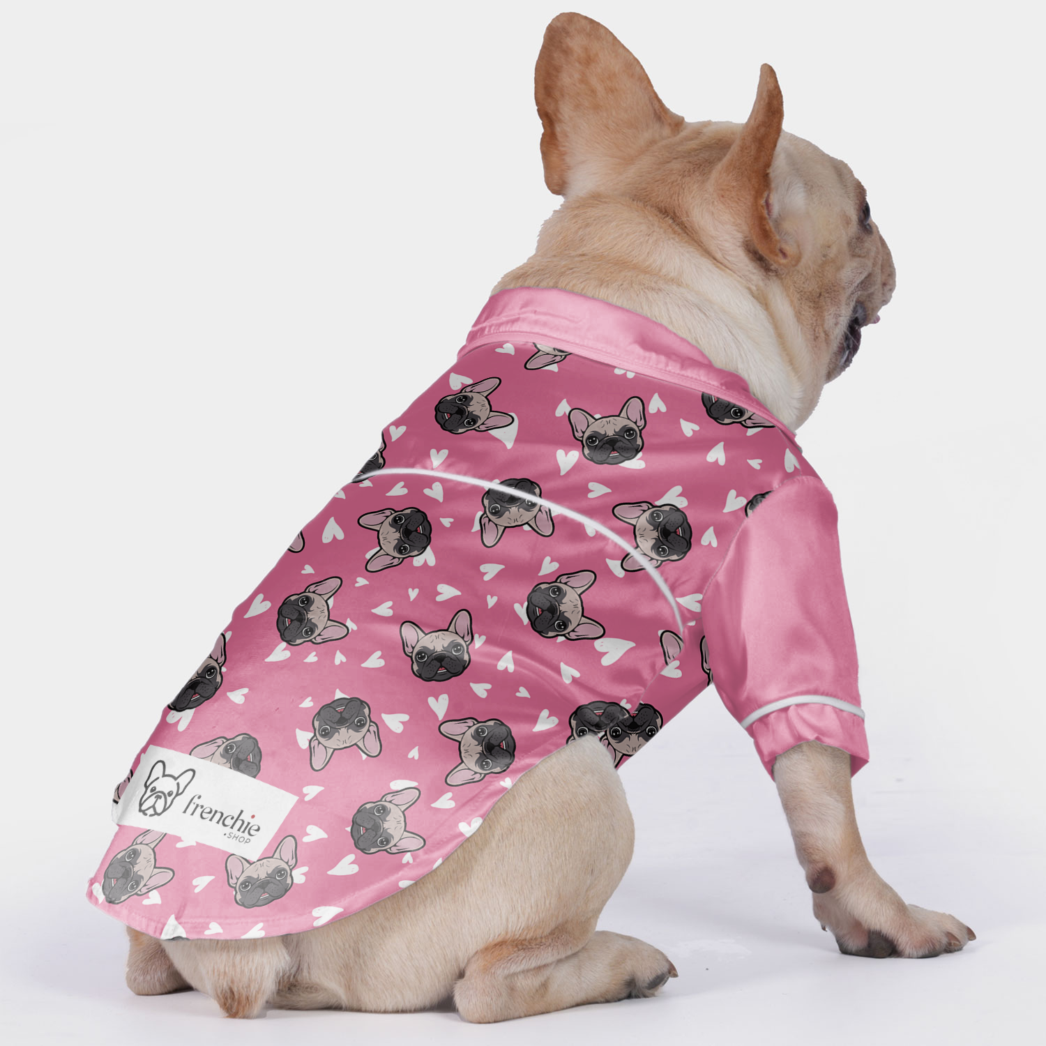 Danton French Bulldog Pet Sleepwear for Outdoor Adventures-fadou