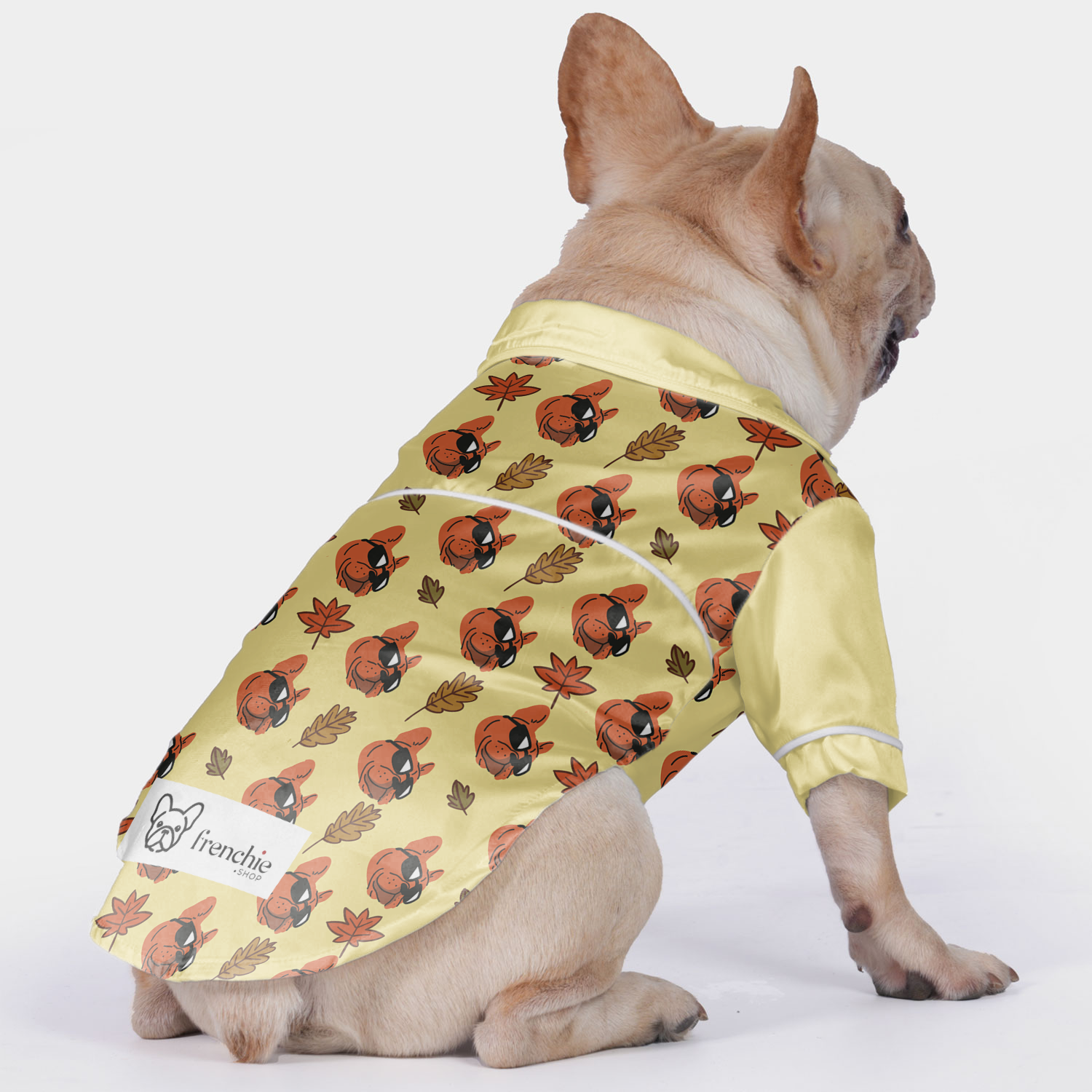 Joy French Bulldog Cozy Loungewear for Flat-Face Breeds-fadou