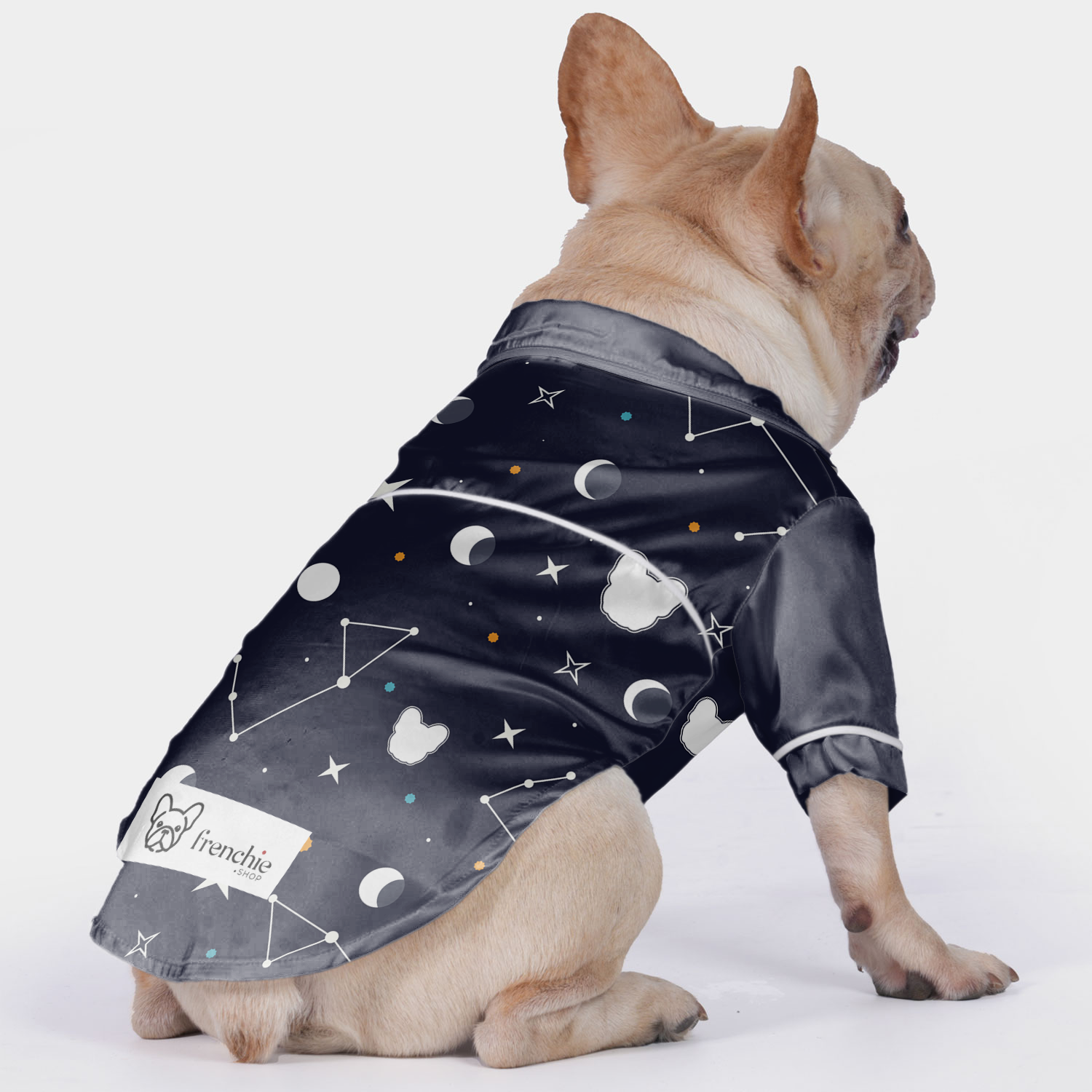 Dexter French Bulldog Night Outfit for Outdoor Adventures-fadou