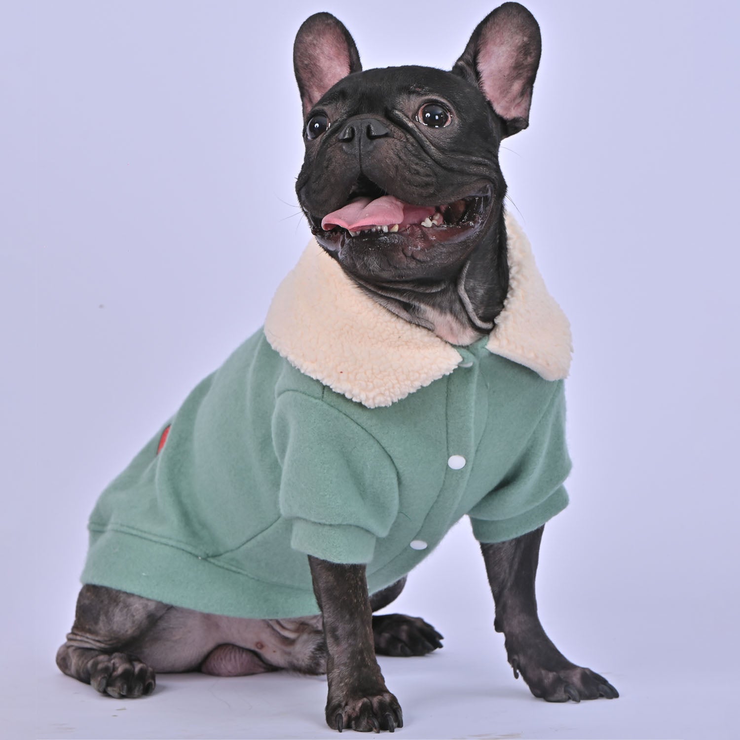 French Bulldog Warm Knitwear for Outdoor Adventures Gifts-fadou