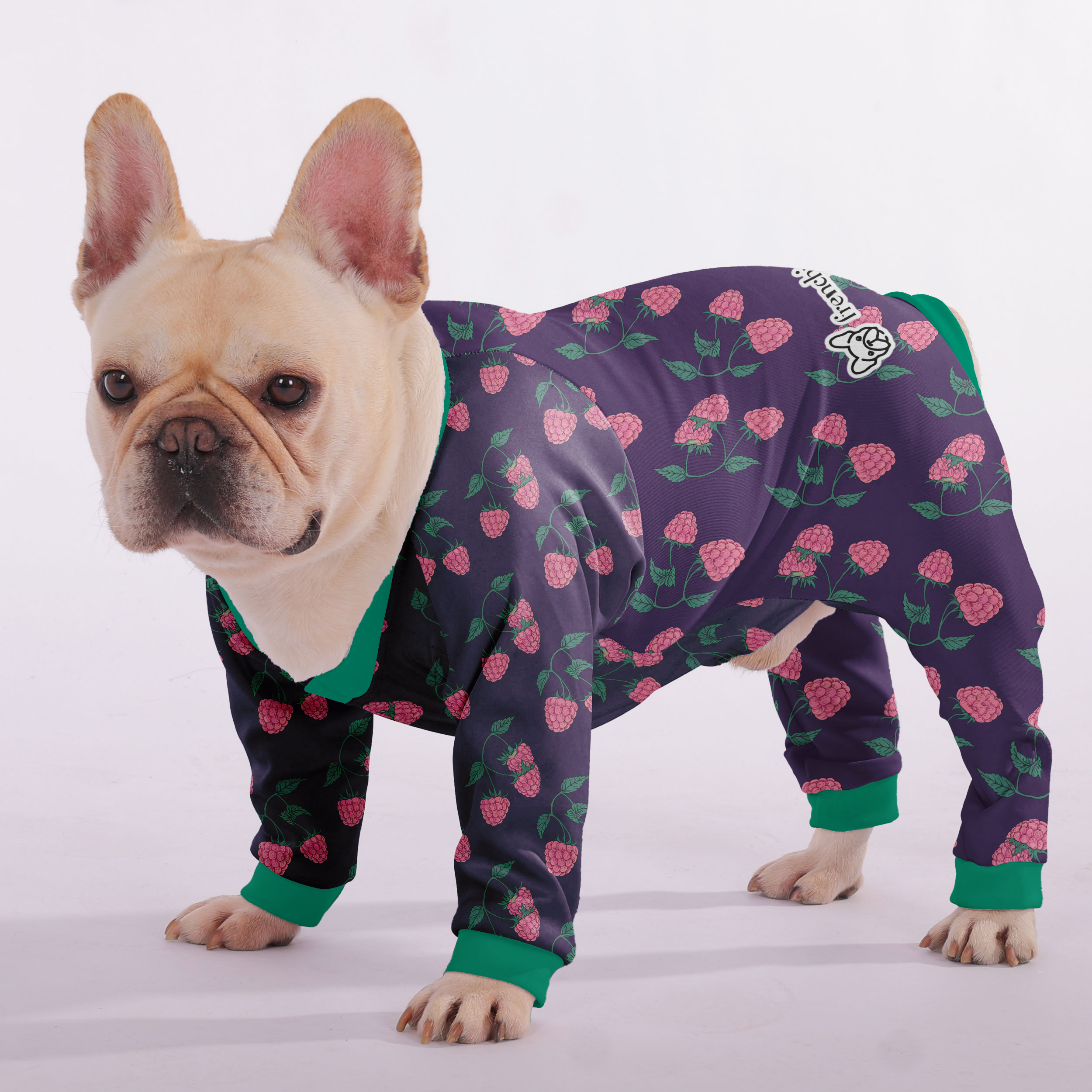 Frenchie Ultra-Soft Pet Sleepwear for Outdoor Adventures-fadou