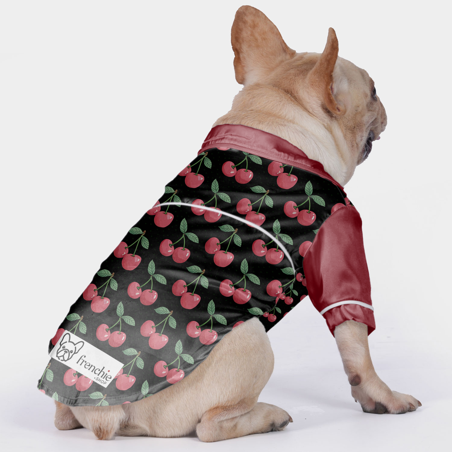 Luna French Bulldog Cozy Loungewear for Brachycephalic Dogs-fadou