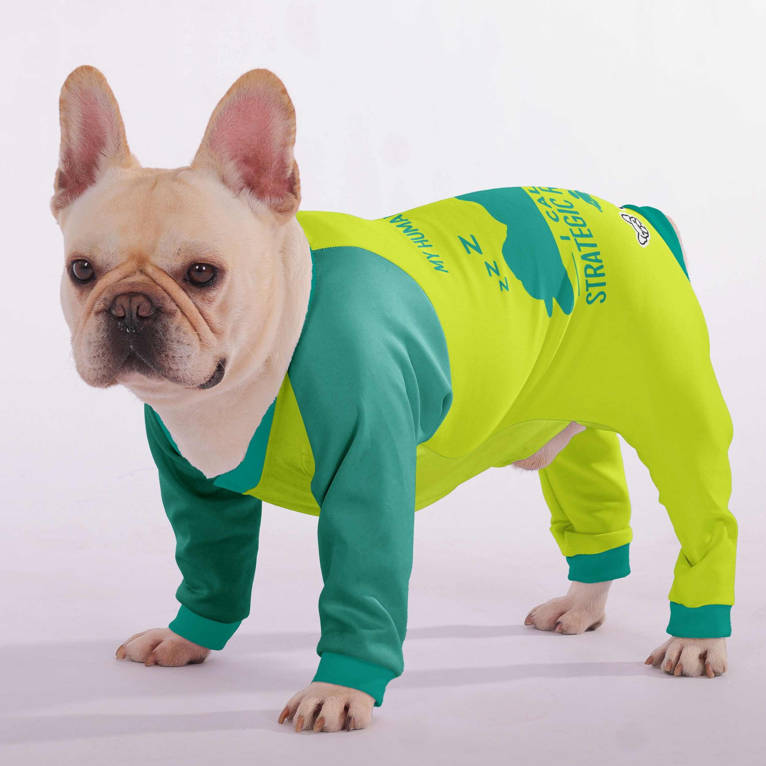 French Bulldog Stylish Night Outfit for French Bulldogs-fadou