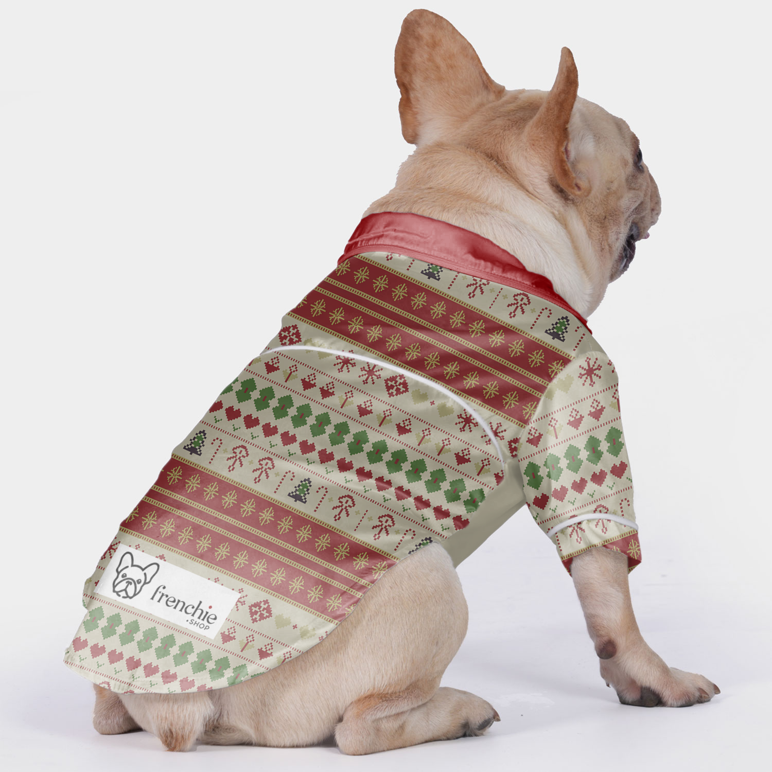 Gracie French Bulldog Night Outfit for Training Sessions-fadou