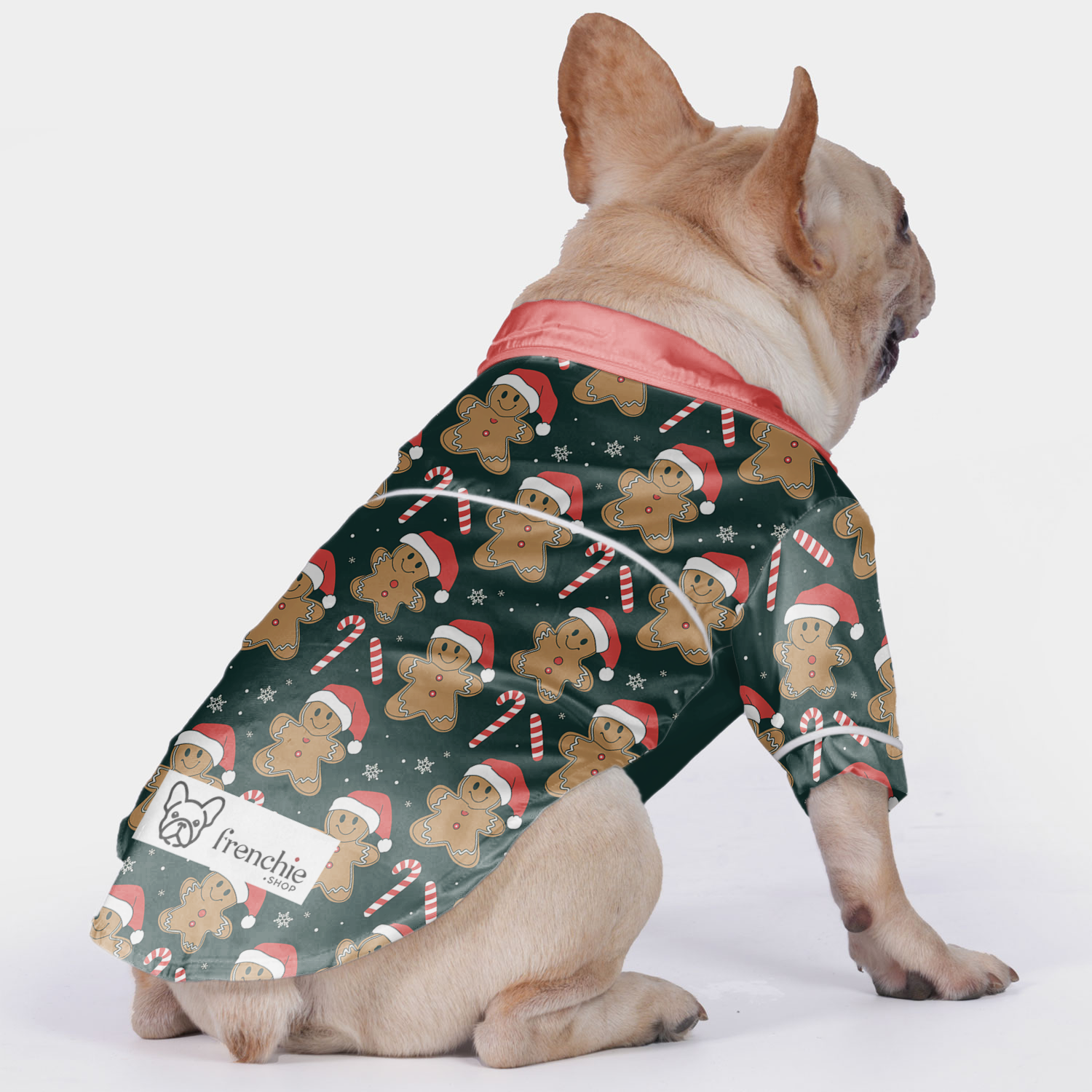 Mia French Bulldog Cozy Loungewear for Outdoor Adventures-fadou