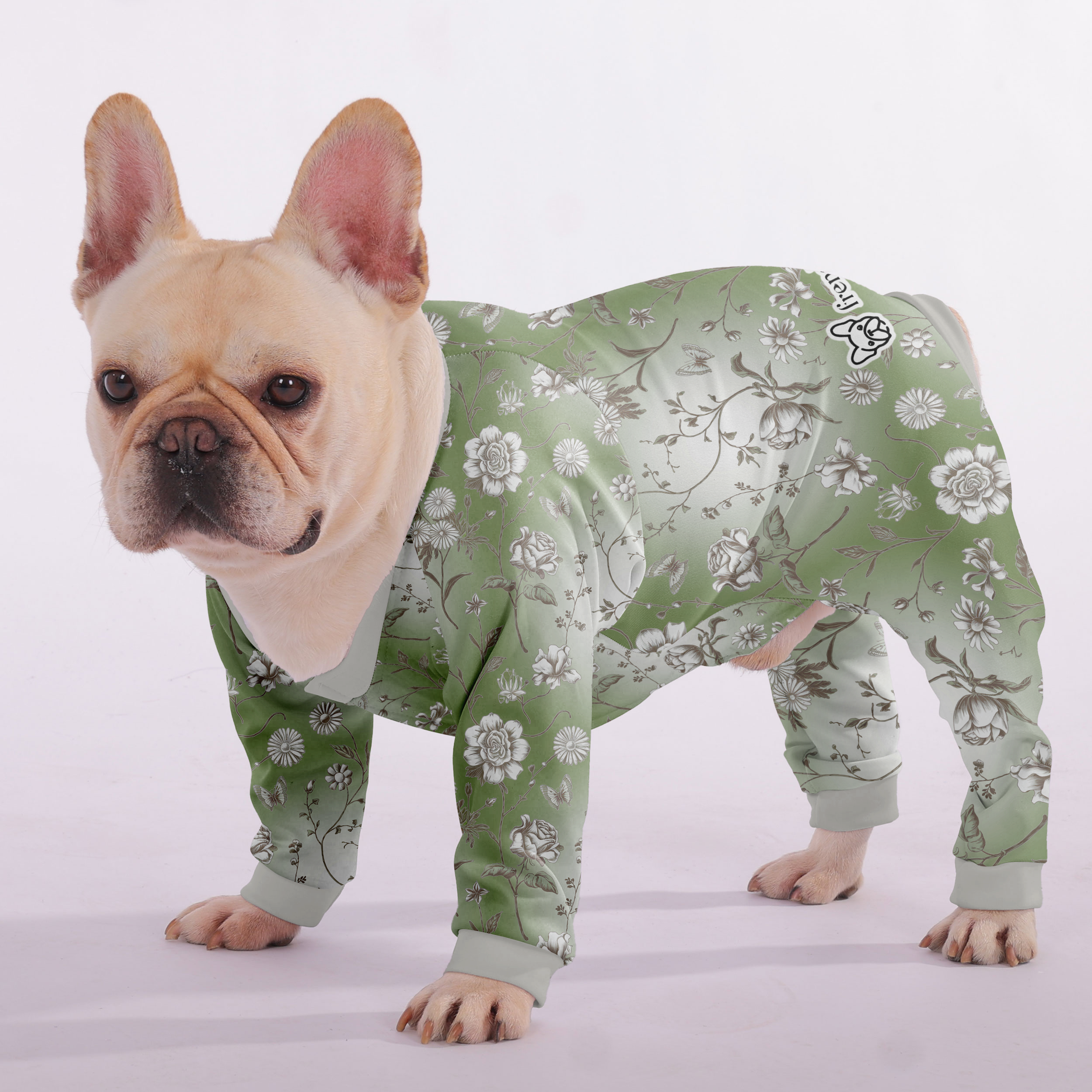 Frenchie Ultra-Soft Cozy Loungewear for French Bulldogs-fadou