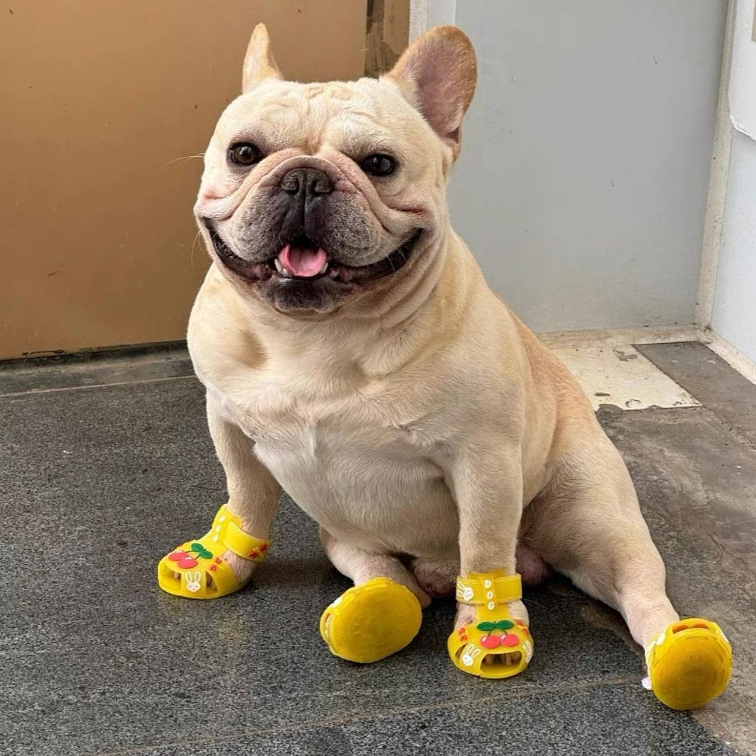 Frenchie Paws Protection Sandals for Dog Lovers and Owners-fadou