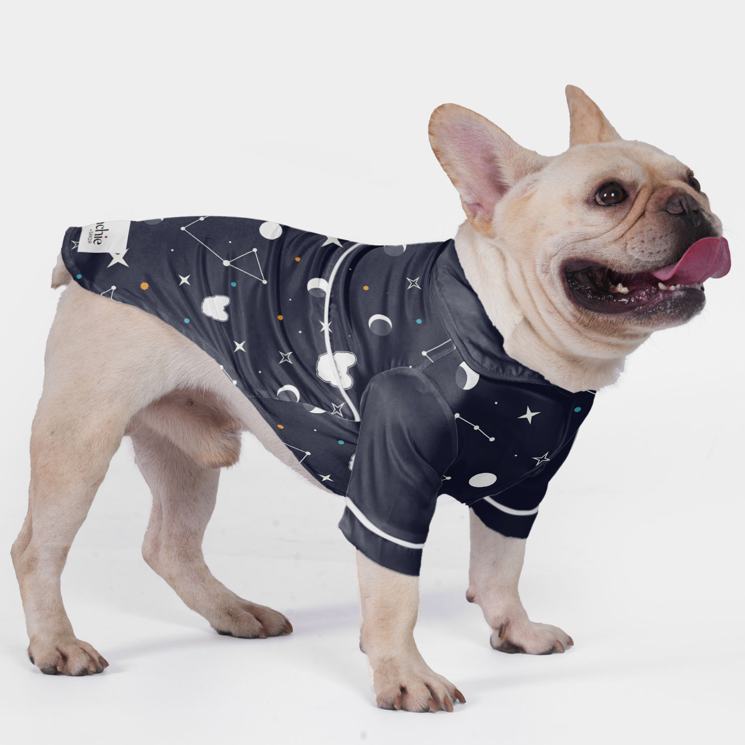 Dexter French Bulldog Night Outfit for Outdoor Adventures-fadou