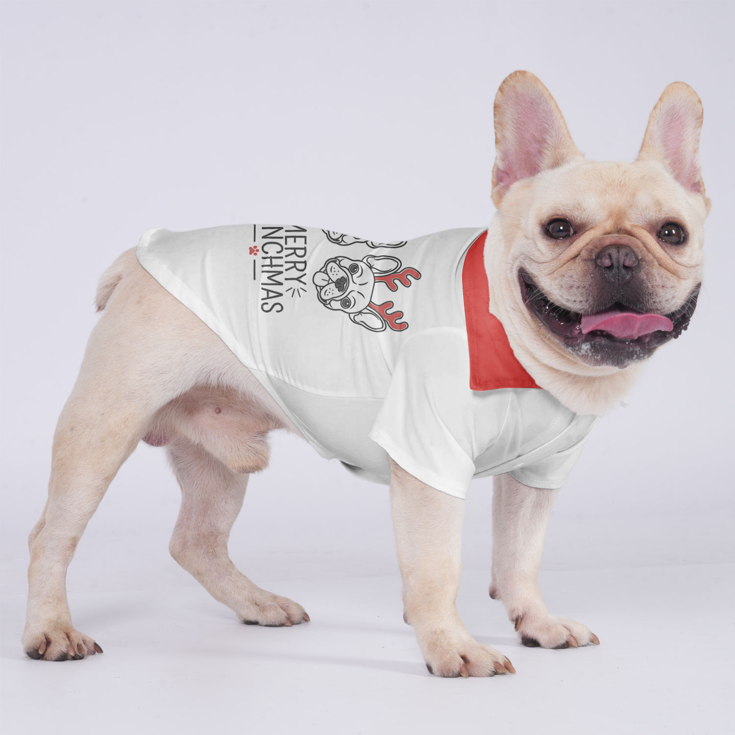 Ace - Hawaiian Shirt for Short-Nosed Dogs for French Bulldogs-fadou