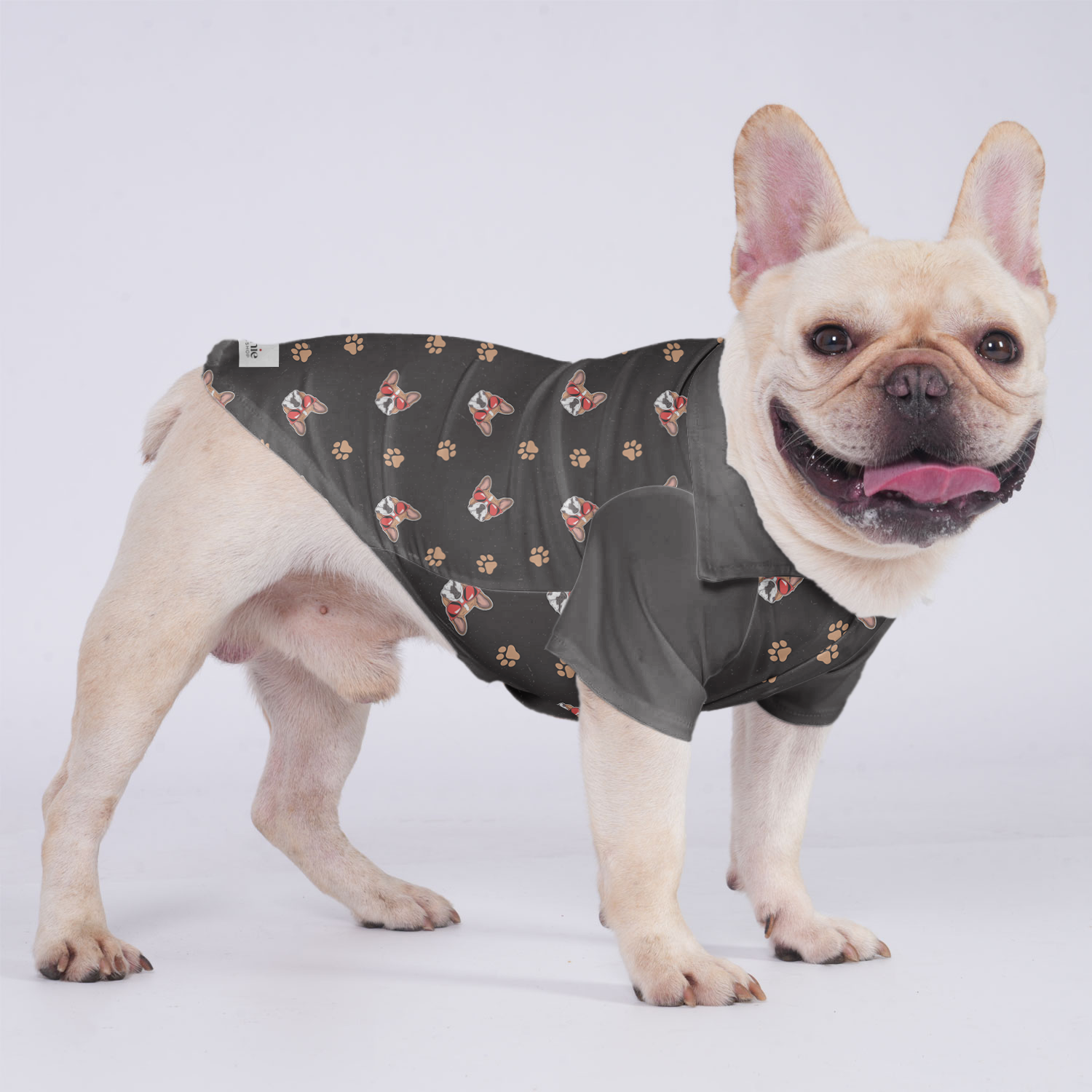 Ocean French Bulldog Dog Outfit for Brachycephalic Dogs-fadou