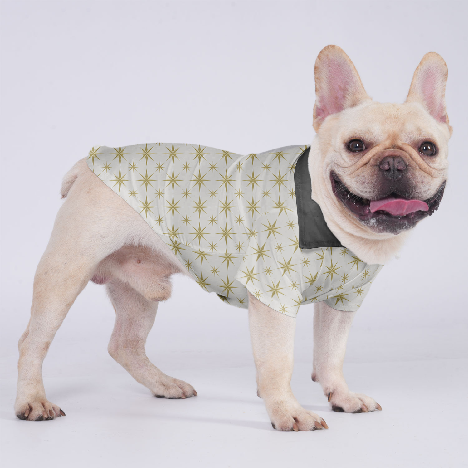 Melo - Hawaiian Shirt for Flat-Face Breeds for French Bulldogs-fadou