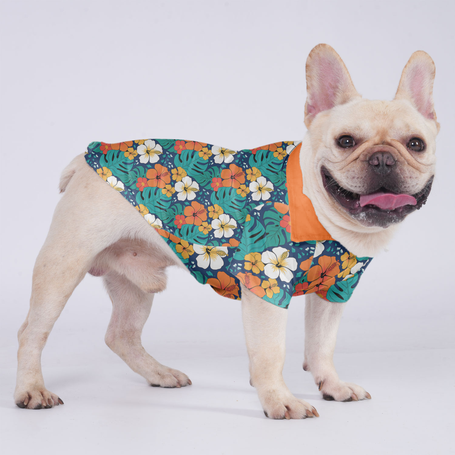 Gracie French Bulldog Cotton Tee for Outdoor Adventures-fadou